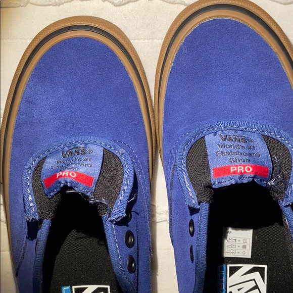 Van Pros - Picture 4 of 6